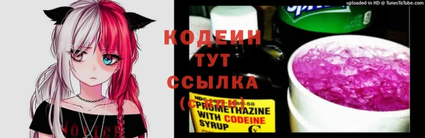 прущий лед Абаза