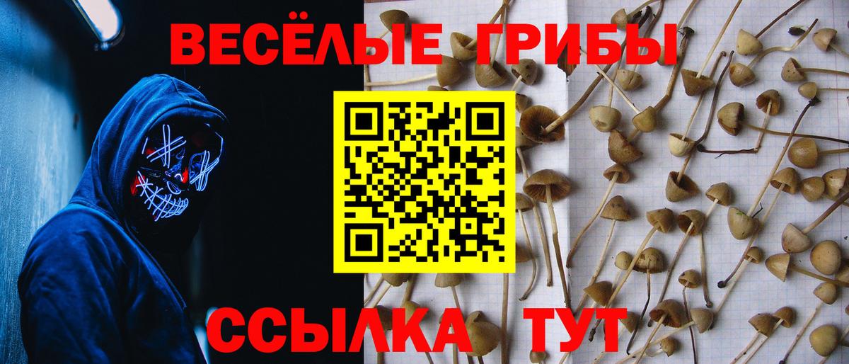 Лабытнанги  Псилоцибиновые грибы Psilocybe  Вход с VPN 
