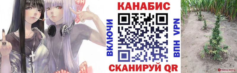 Конопля OG Kush  Лабытнанги 